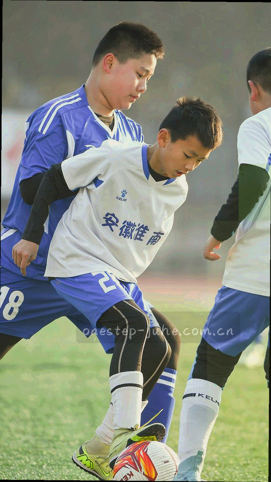 手机端客户端竖屏界面，检索框与栏目切换按钮集中在屏幕底部三分之一区域